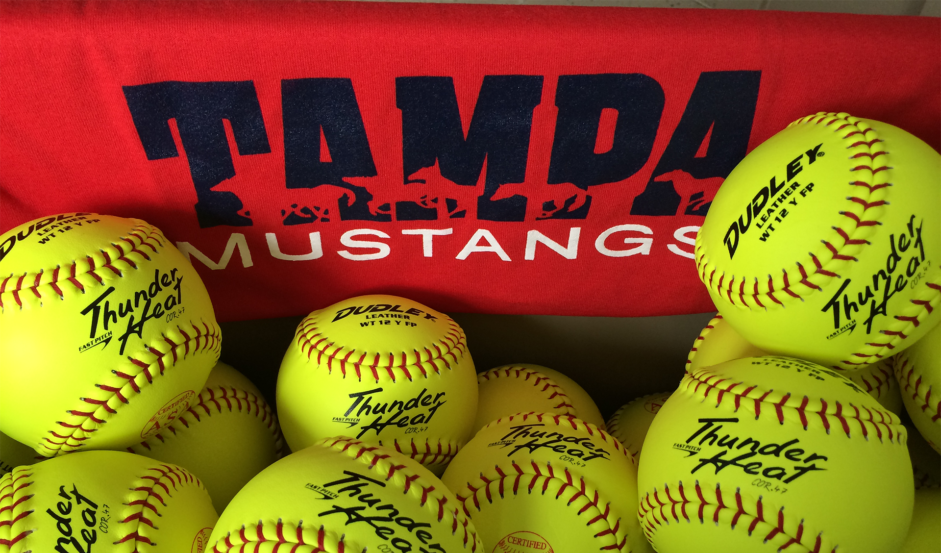 These are recent articles from the Tampa Tribune Sports section concerning the Mustangs teams and two Palm harbor University High softball standouts who play for the Tampa Mustangs 18u travel team and….