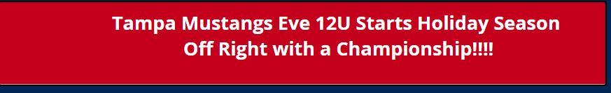 Eve 12u Starts Holiday Season with Batterball Championship....