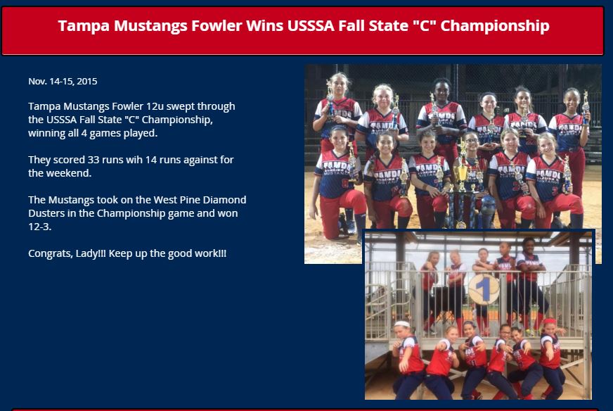 Fowler 12u wins USSSA "C" Fall State Championship....