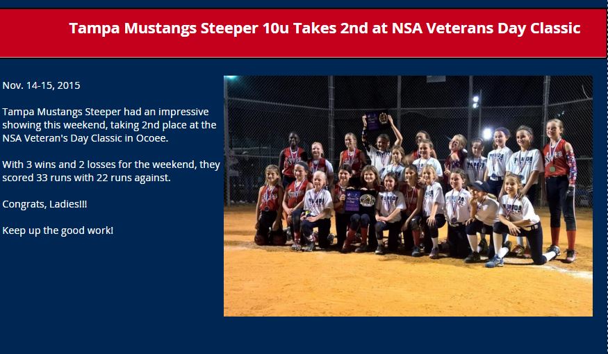 Steeper 10u takes 2nd at NSA Veterans Day Classic.....