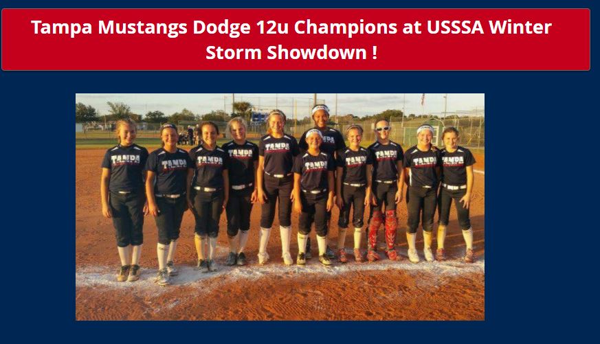 Tampa Mustangs Torres: Dodge 12u Champions at USSSA Winter Storm Showdown.......